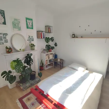 Sunny And Fully Furnished Duplex In Appartement